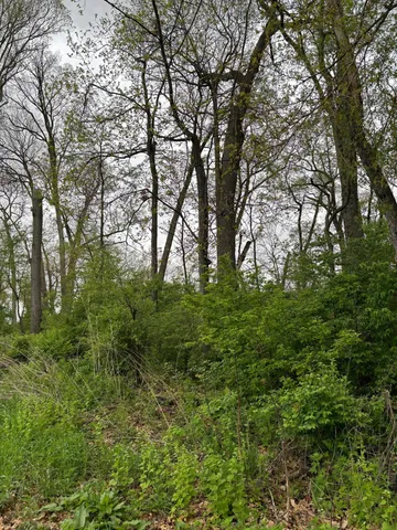 a view of yard with green space