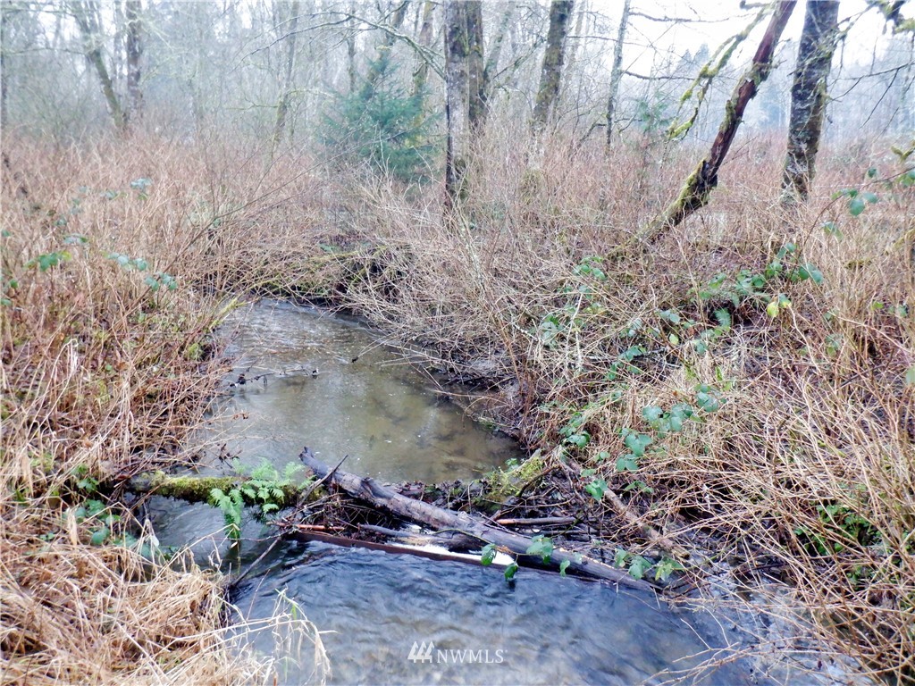 3098 Butler Creek Road Sedro-Woolley, WA 98284 - Photo 25 of 38 Gallery Image 25