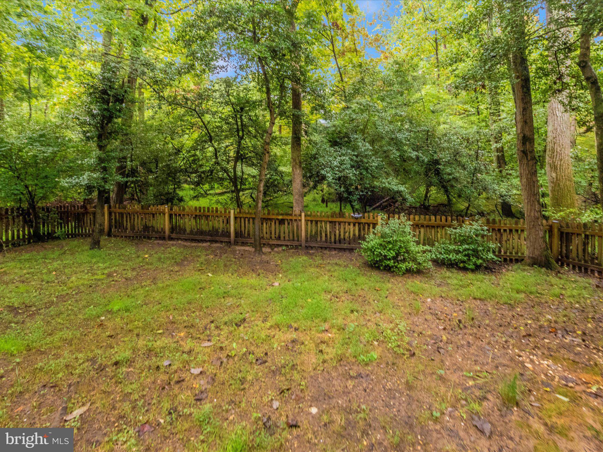 2668 Ogleton Road Annapolis, MD 21403 - Photo 35 of 51 a backyard of a house with lots of green space