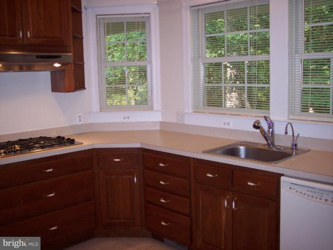 17619 Norwood Road Sandy Spring, MD 20860 - Photo 22 of 30 Sink area overlooking treed rear yard