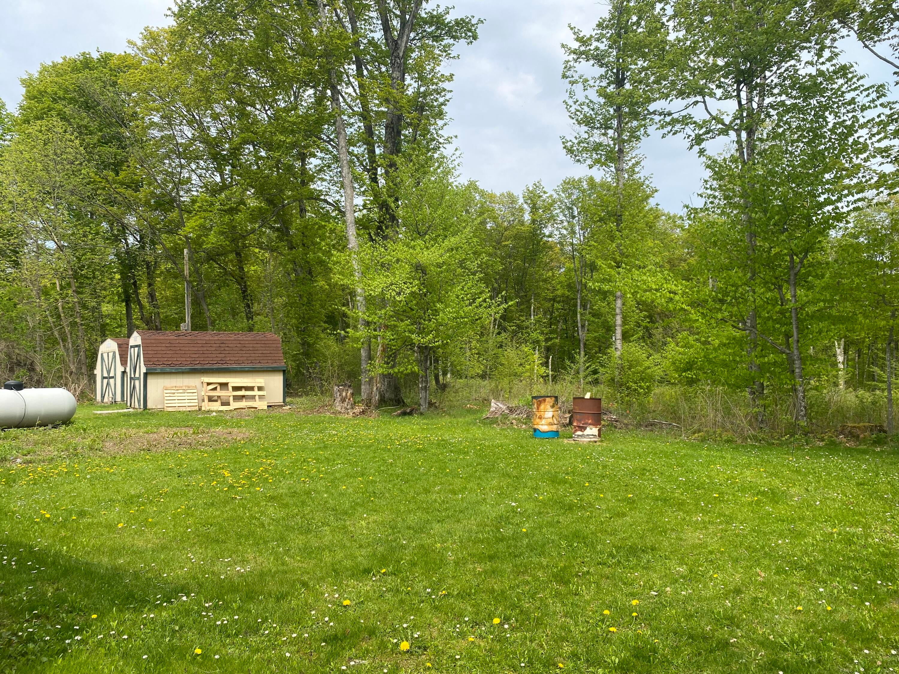 N9411 Manistique Lakes Road Curtis, MI 49820 - Photo 26 of 29 Gallery Image 26