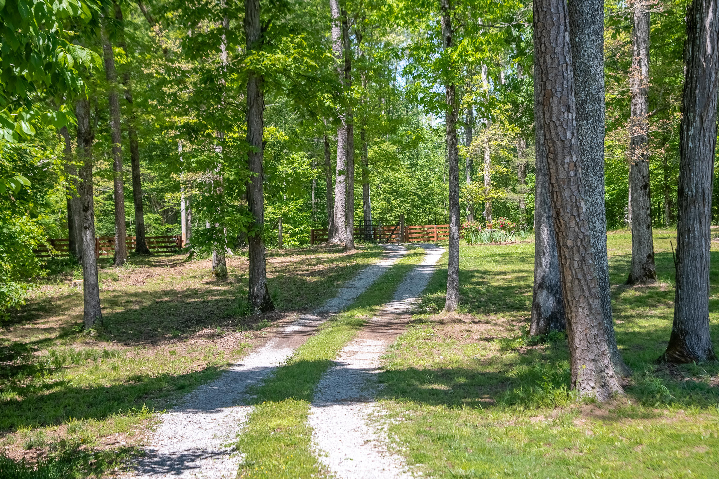 1162 Lower Chestuee Road Charleston, TN 37310 - Photo 4 of 42 LowerChestuee-30