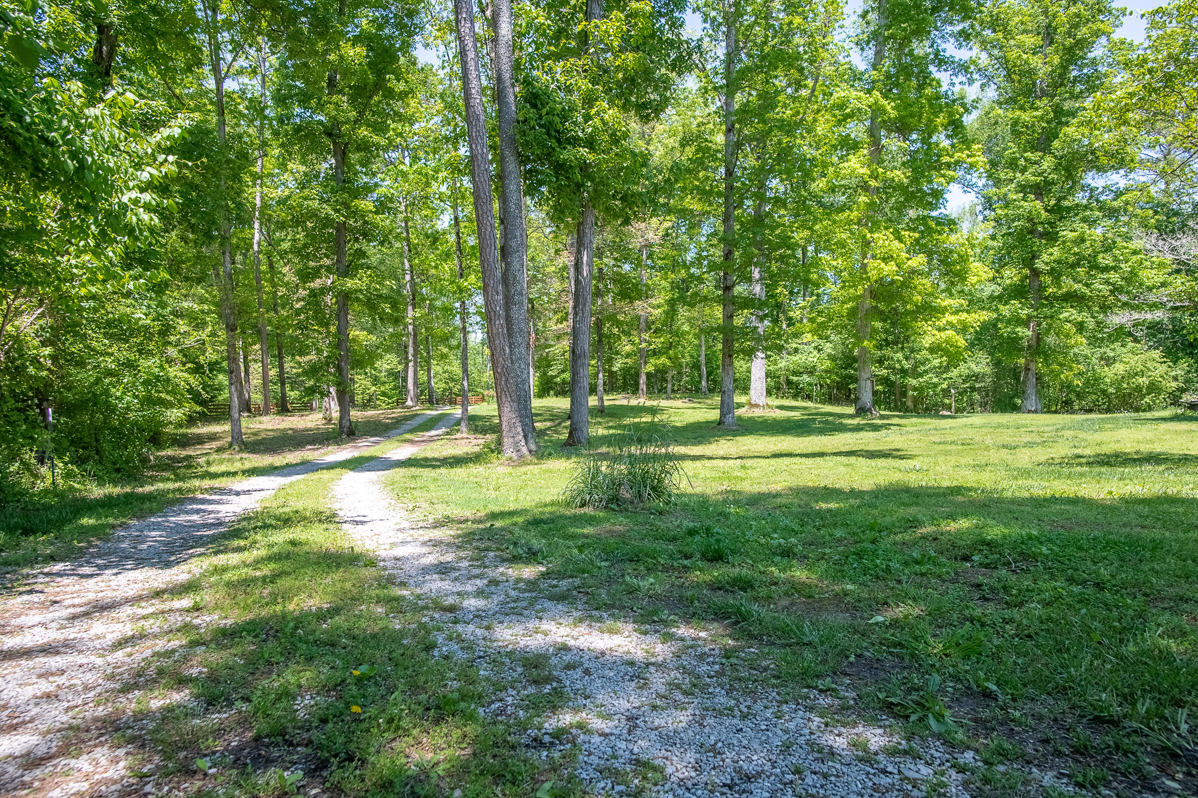 1162 Lower Chestuee Road Charleston, TN 37310 - Photo 5 of 42 LowerChestuee-28