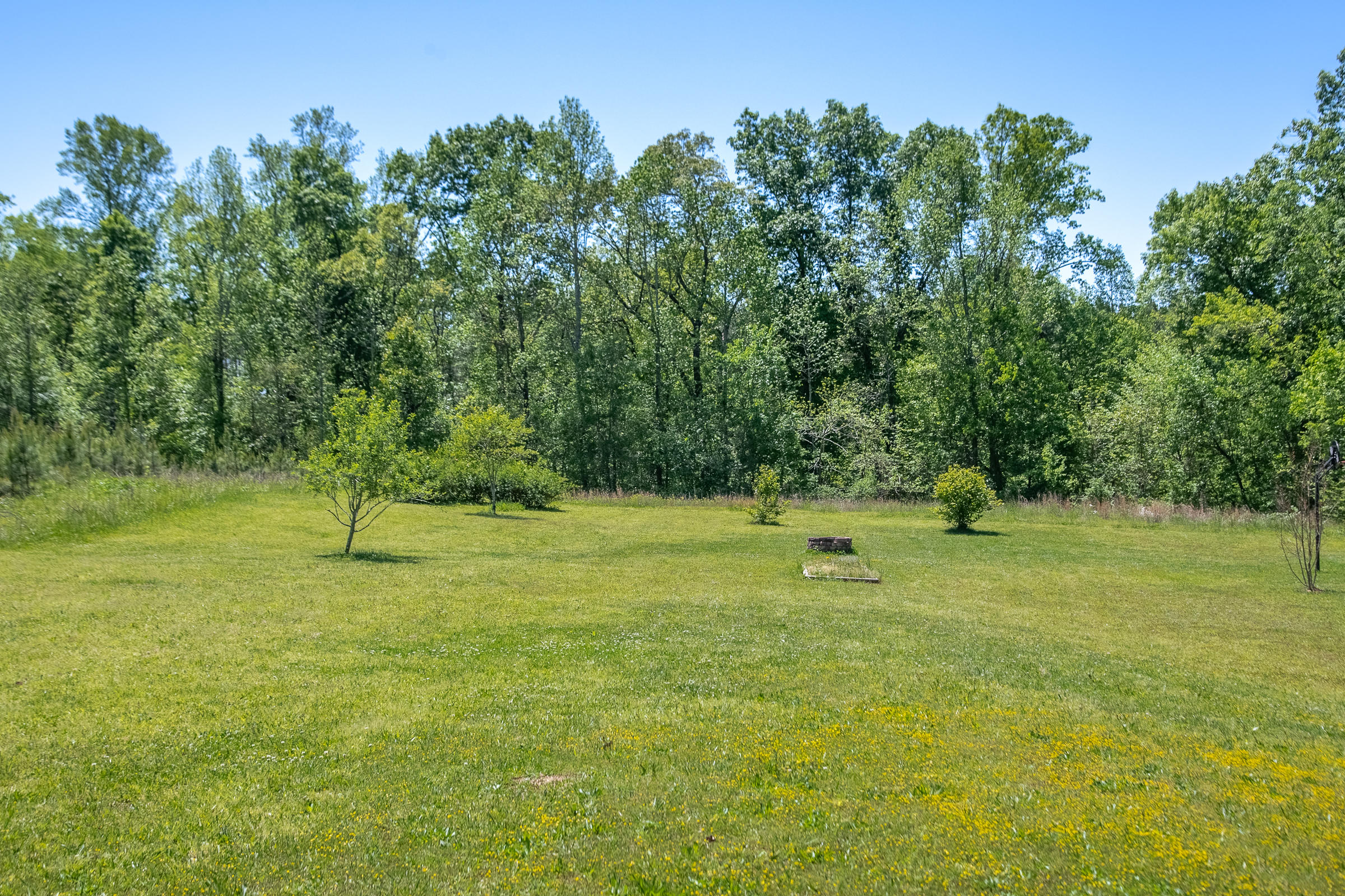 1162 Lower Chestuee Road Charleston, TN 37310 - Photo 10 of 42 LowerChestuee-36