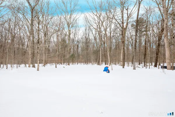 a view of outdoor space with trees