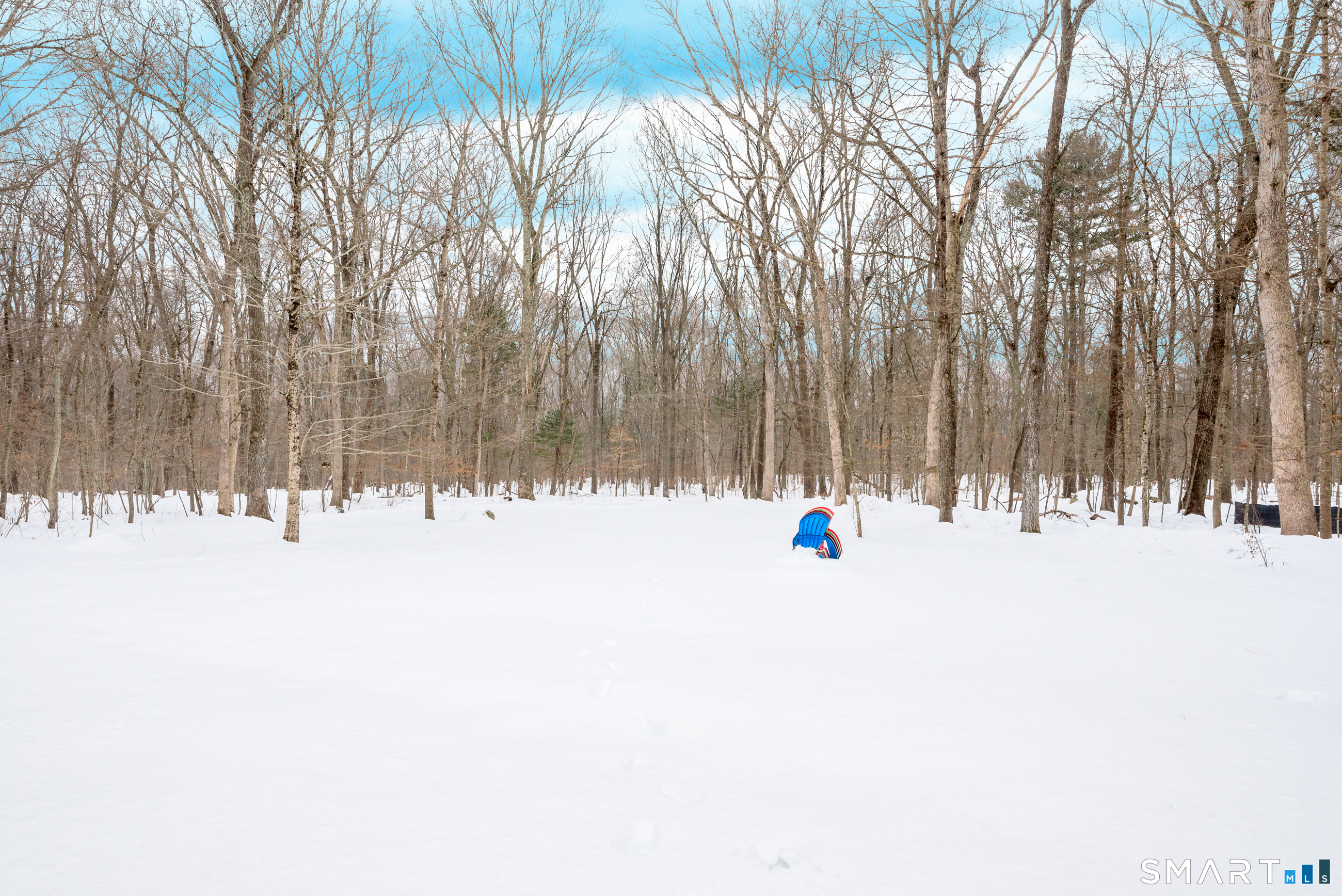 33 Northam Road Hebron, CT 06231 - Photo 29 of 36 a view of outdoor space with trees