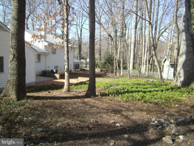 7620 Webbwood Court Springfield, VA 22151 - Photo 17 of 18 a view of a yard with plants and large trees
