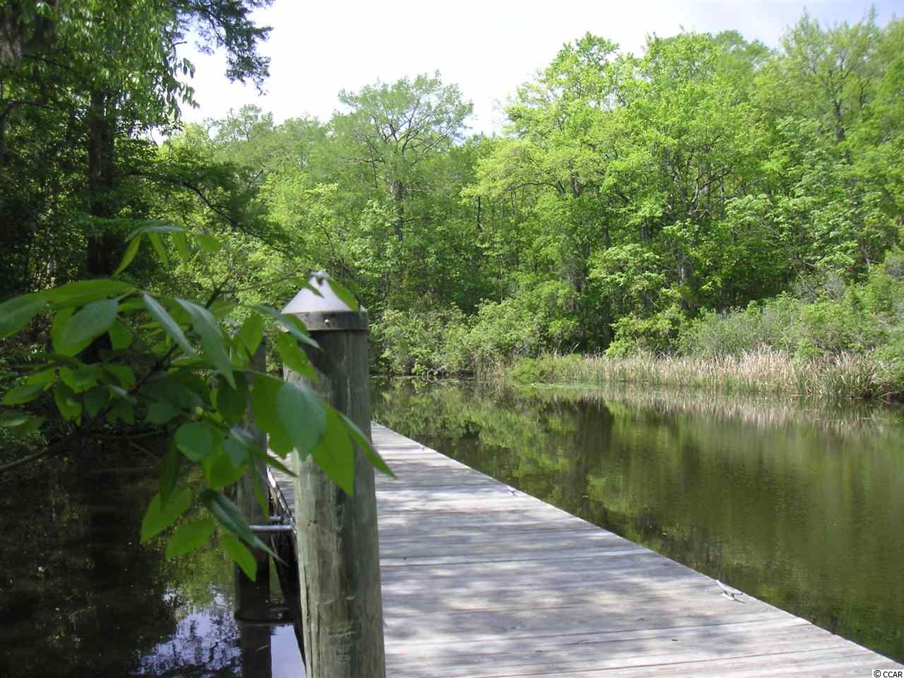 Damon Loop Murrells Inlet, SC 29576 - Photo 3 of 12 Gallery Image 3
