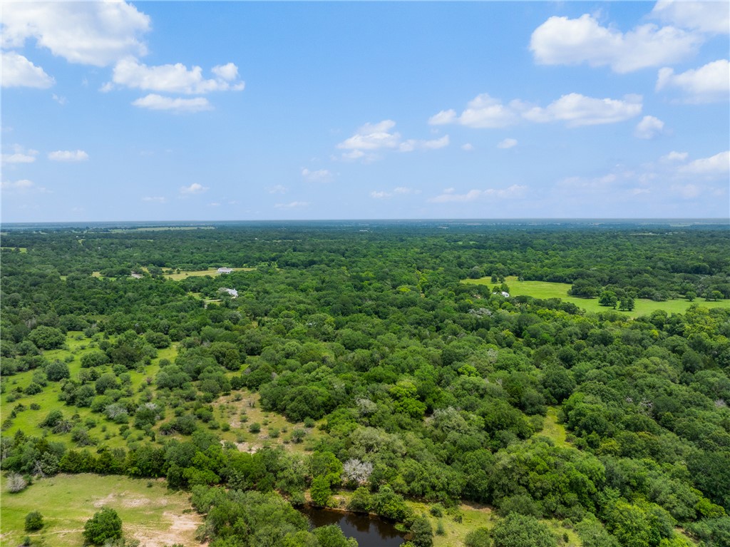 18645 Pickens Road Washington, TX 77880 - Photo 15 of 29
