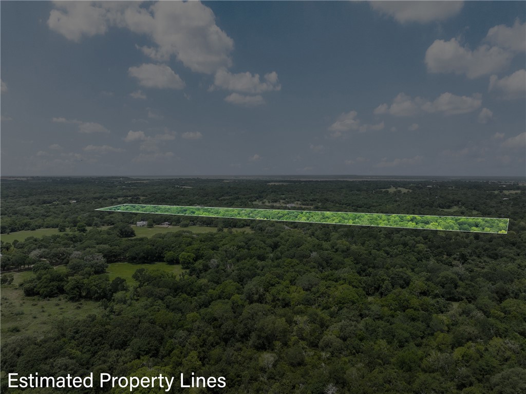 18645 Pickens Road Washington, TX 77880 - Photo 16 of 29 a view of a field of grass and trees