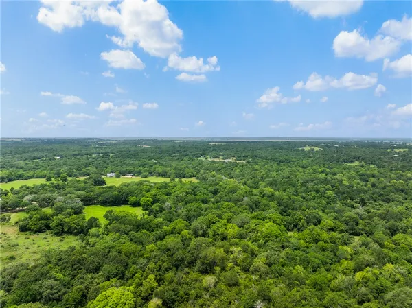 a view of a big yard