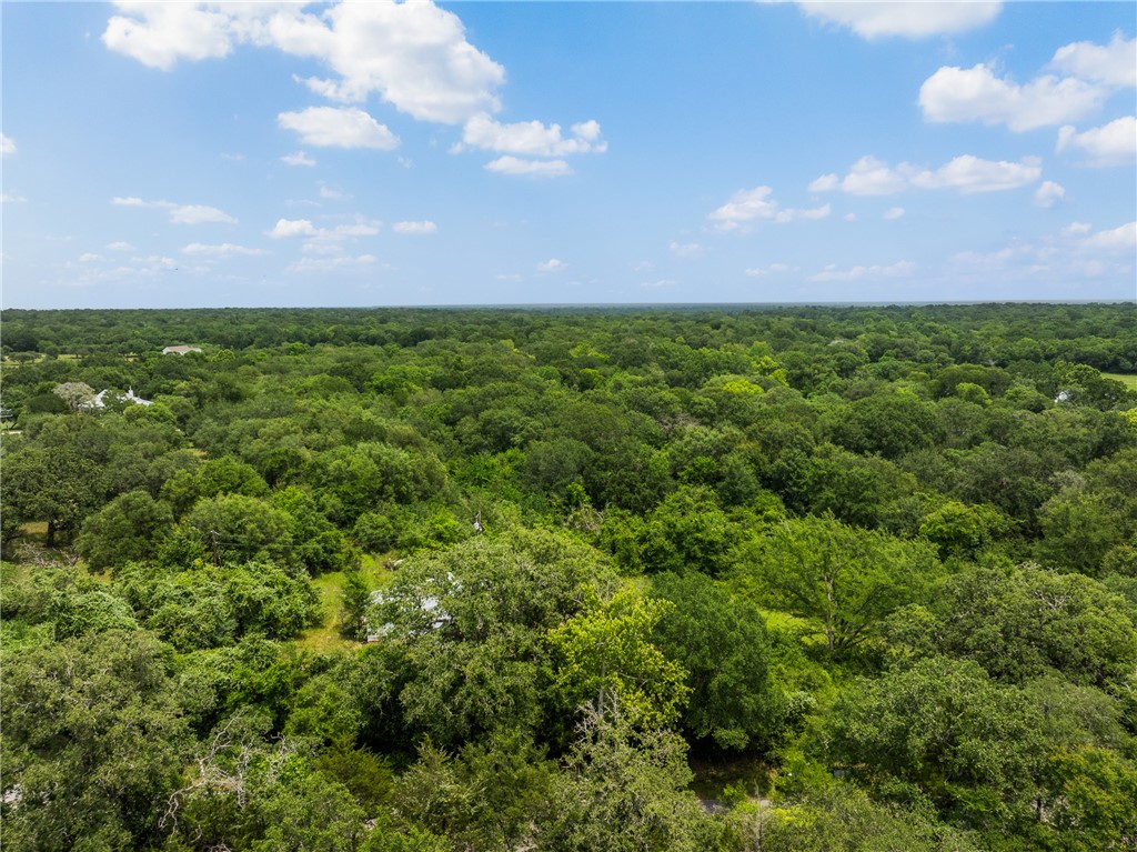 18645 Pickens Road Washington, TX 77880 - Photo 19 of 29 a view of a big yard