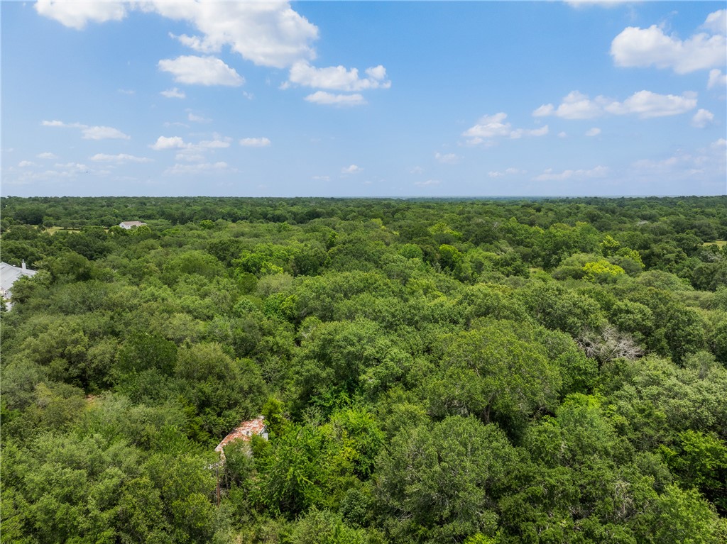 18645 Pickens Road Washington, TX 77880 - Photo 20 of 29 a view of a large yard