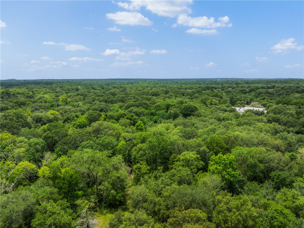 18645 Pickens Road Washington, TX 77880 - Photo 24 of 29 a view of a big yard with lots of green space