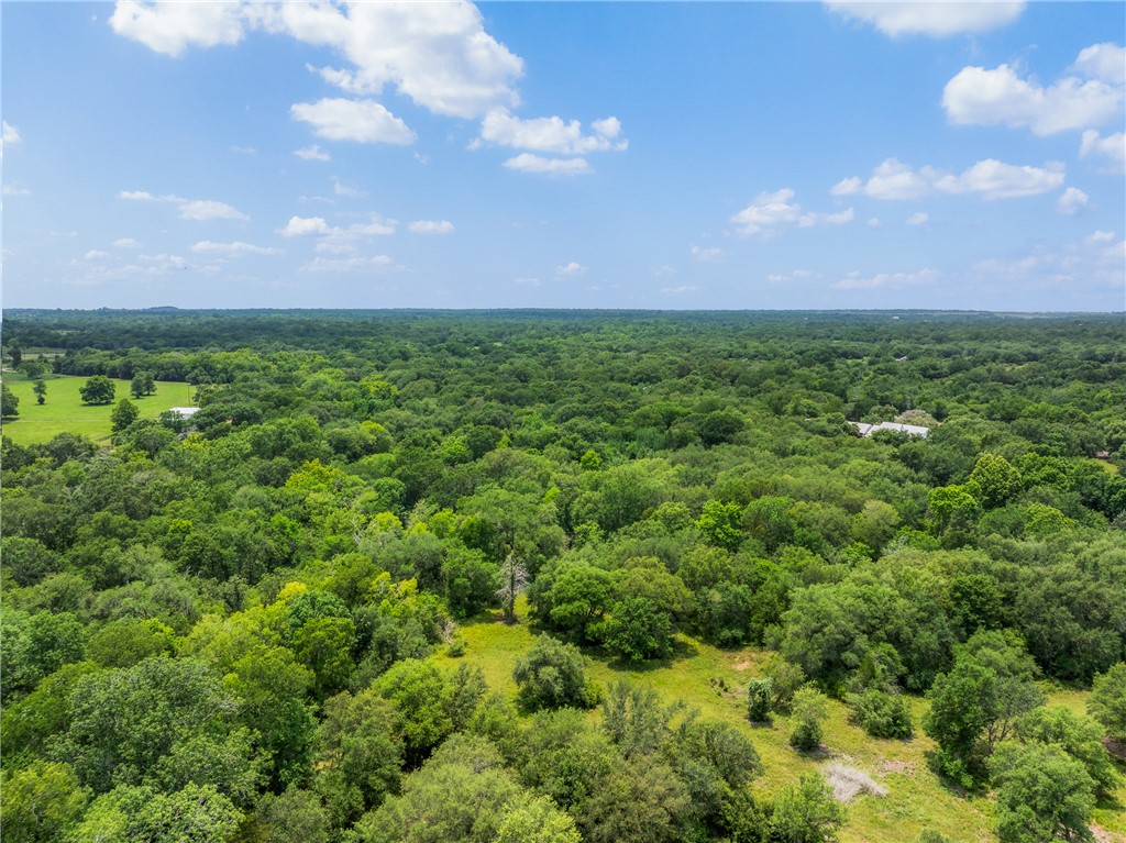 18645 Pickens Road Washington, TX 77880 - Photo 26 of 29 a view of a big yard