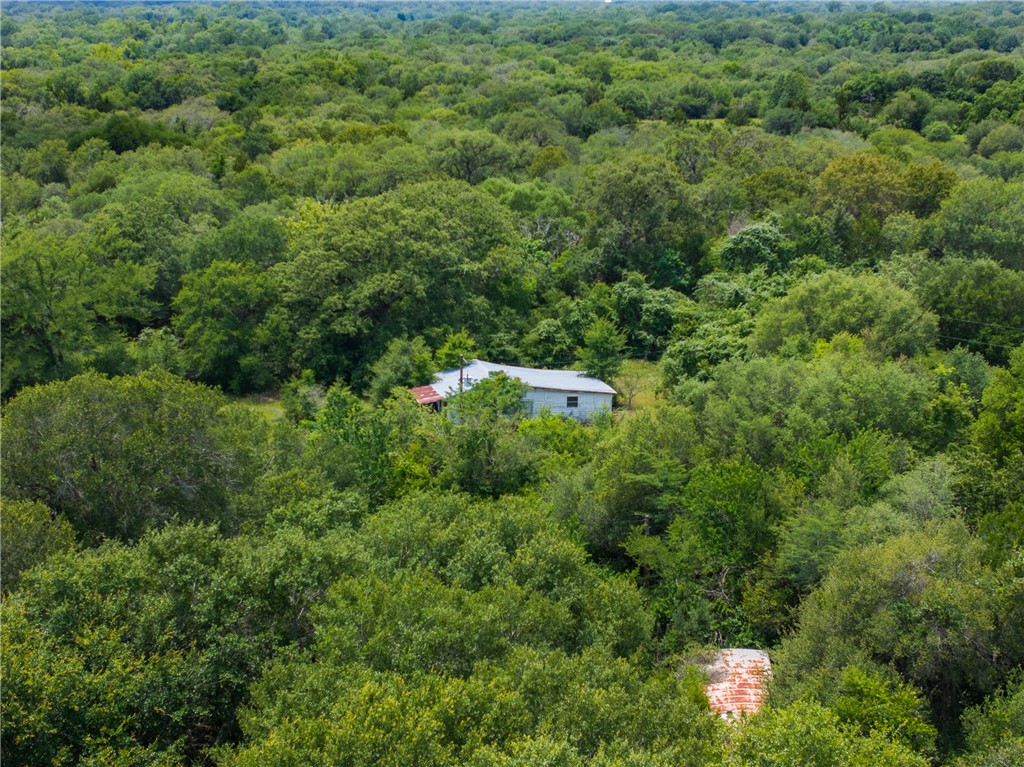 18645 Pickens Road Washington, TX 77880 - Photo 28 of 29 a view of a lush green forest with lots of trees