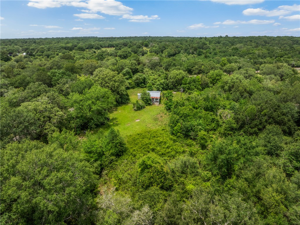 18645 Pickens Road Washington, TX 77880 - Photo 29 of 29 an aerial view of residential houses with outdoor space and trees