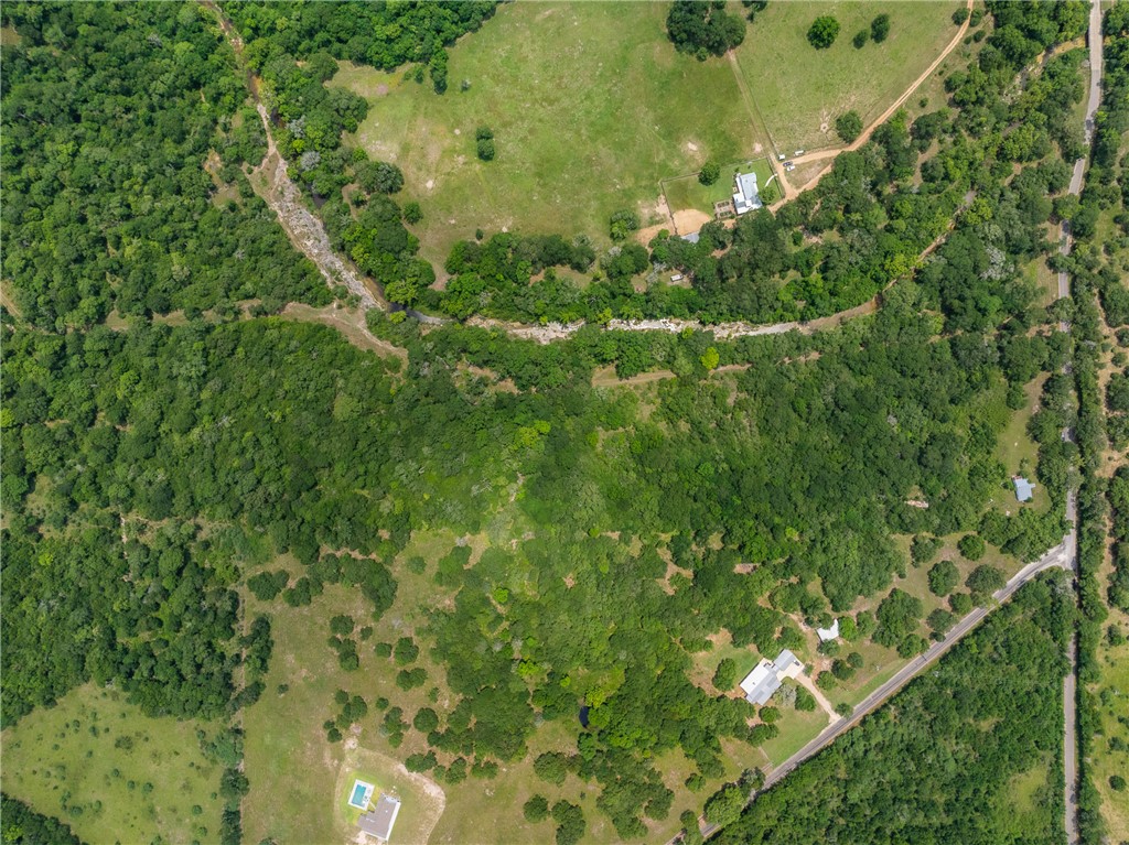 18645 Pickens Road Washington, TX 77880 - Photo 8 of 29 a view of a big yard with lots of bushes