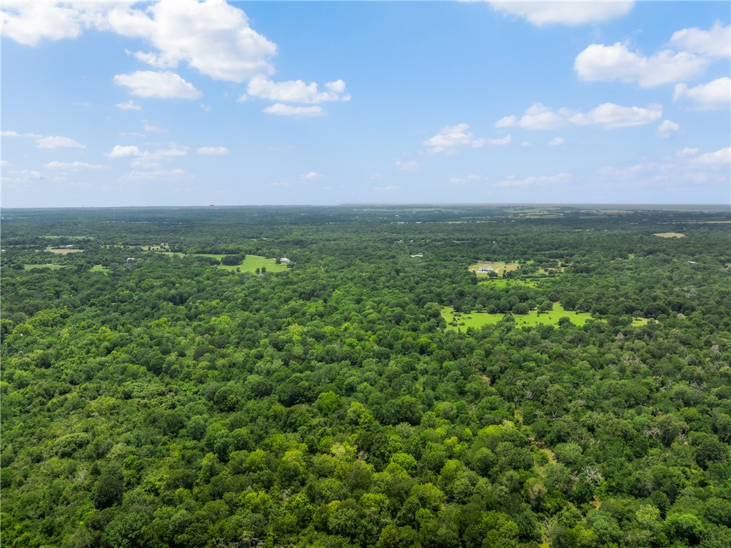 18645 Pickens Road Washington, TX 77880 - Photo 10 of 29 a view of a city