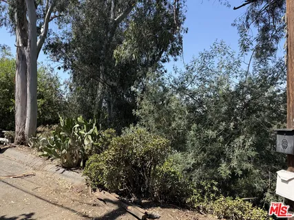 a view of a tree with a tree