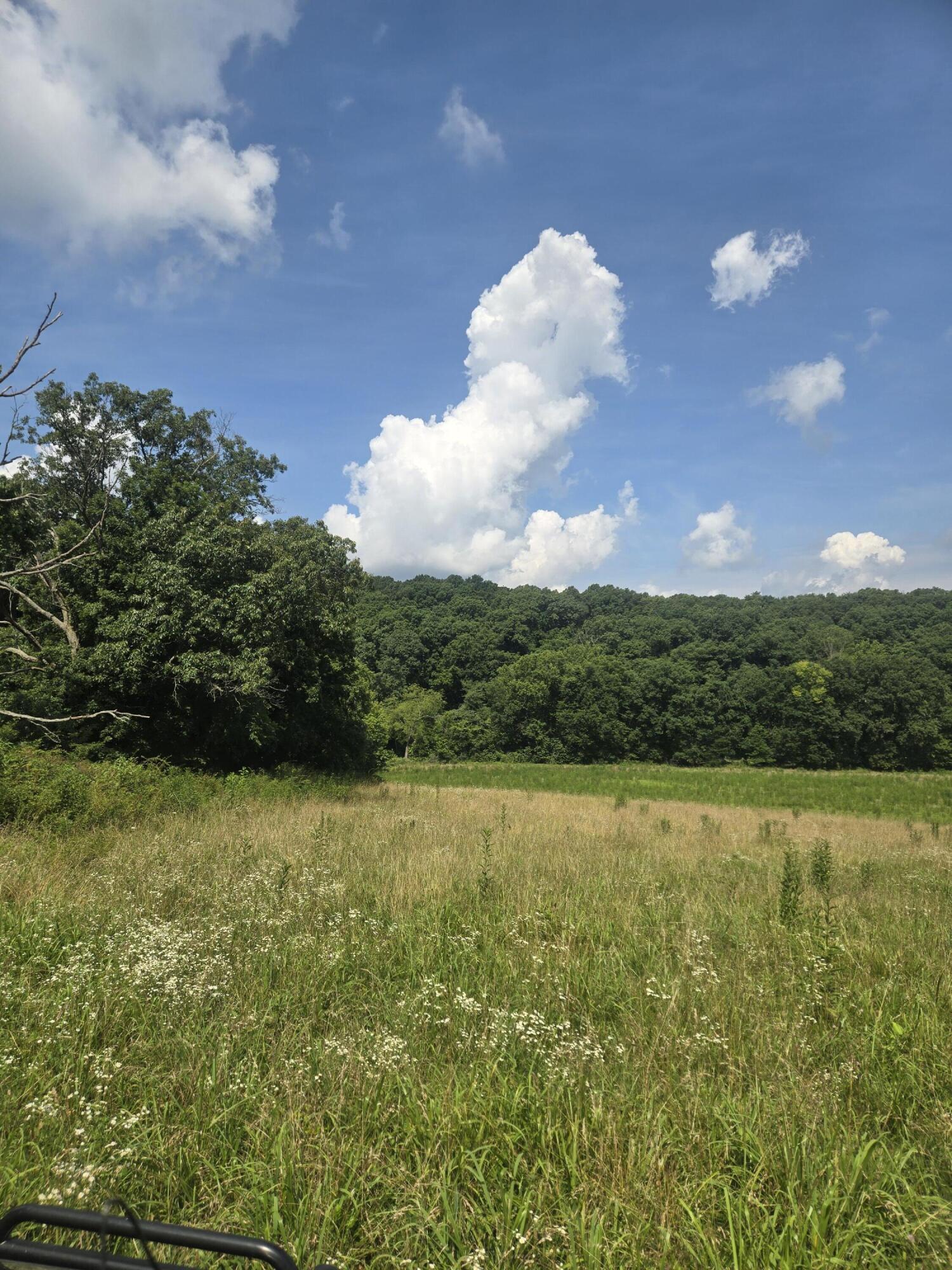 0 Reaves Road Mountain Grove, MO 65711 - Photo 27 of 37 20260703_110123