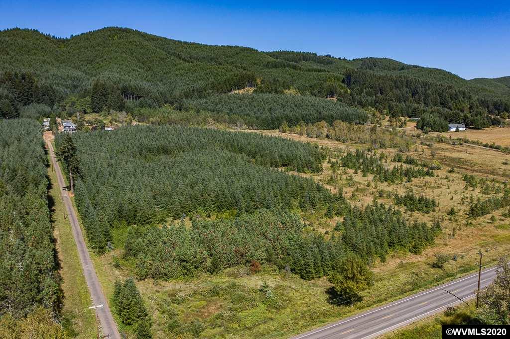 23601 Vaughn Road Veneta, OR 97487 - Photo 4 of 42 Gallery Image 4