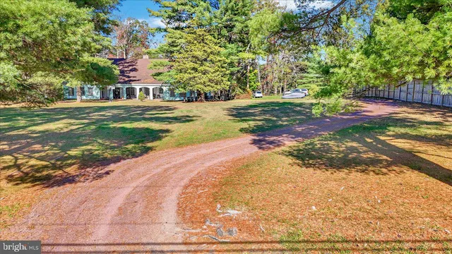 a view of a trees with yard
