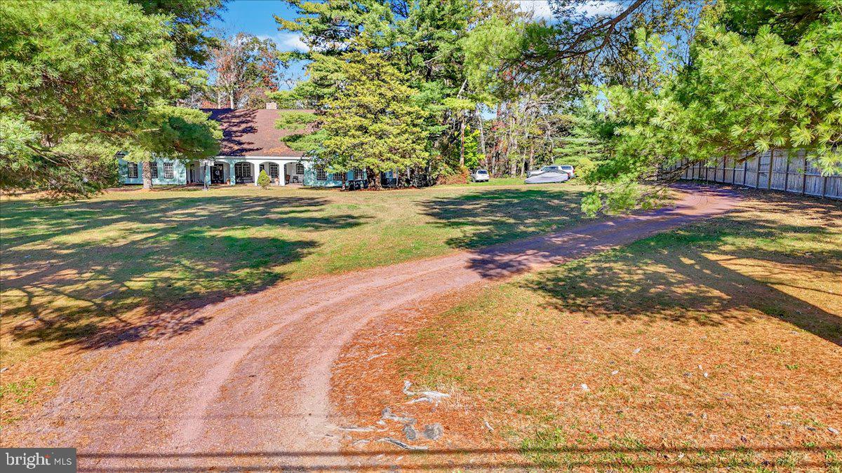 22 Ridge Road Ringtown, PA 17967 - Photo 4 of 46 a view of a trees with yard
