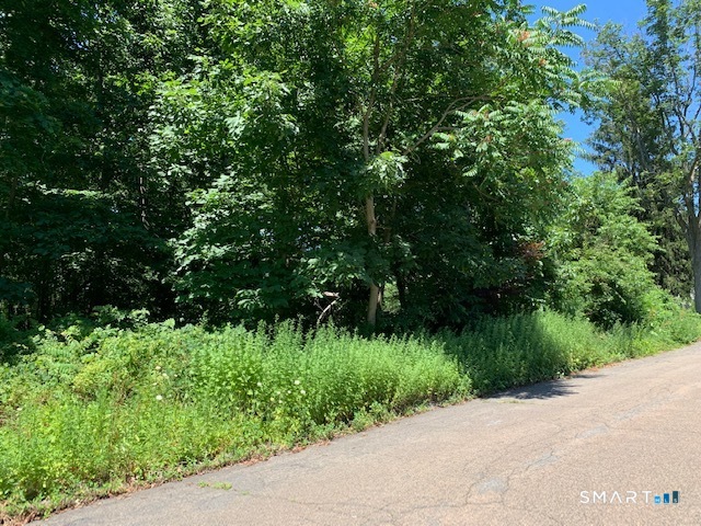 a view of a street with a tree