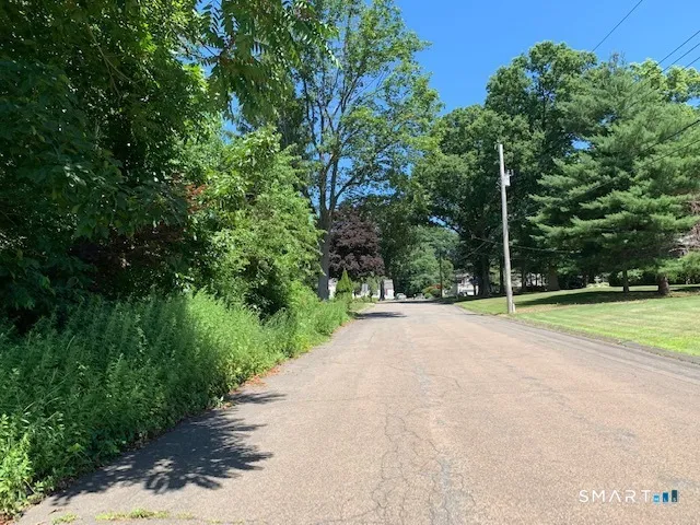 a view of a park with large trees