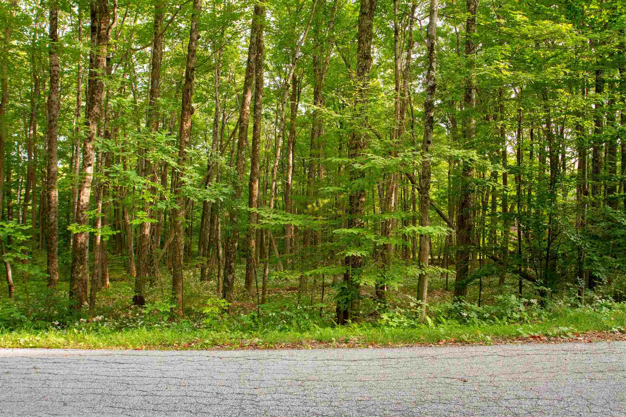 545 Powder-Horn Road Manchester, VT 05255 - Photo 6 of 11 Gallery Image 6