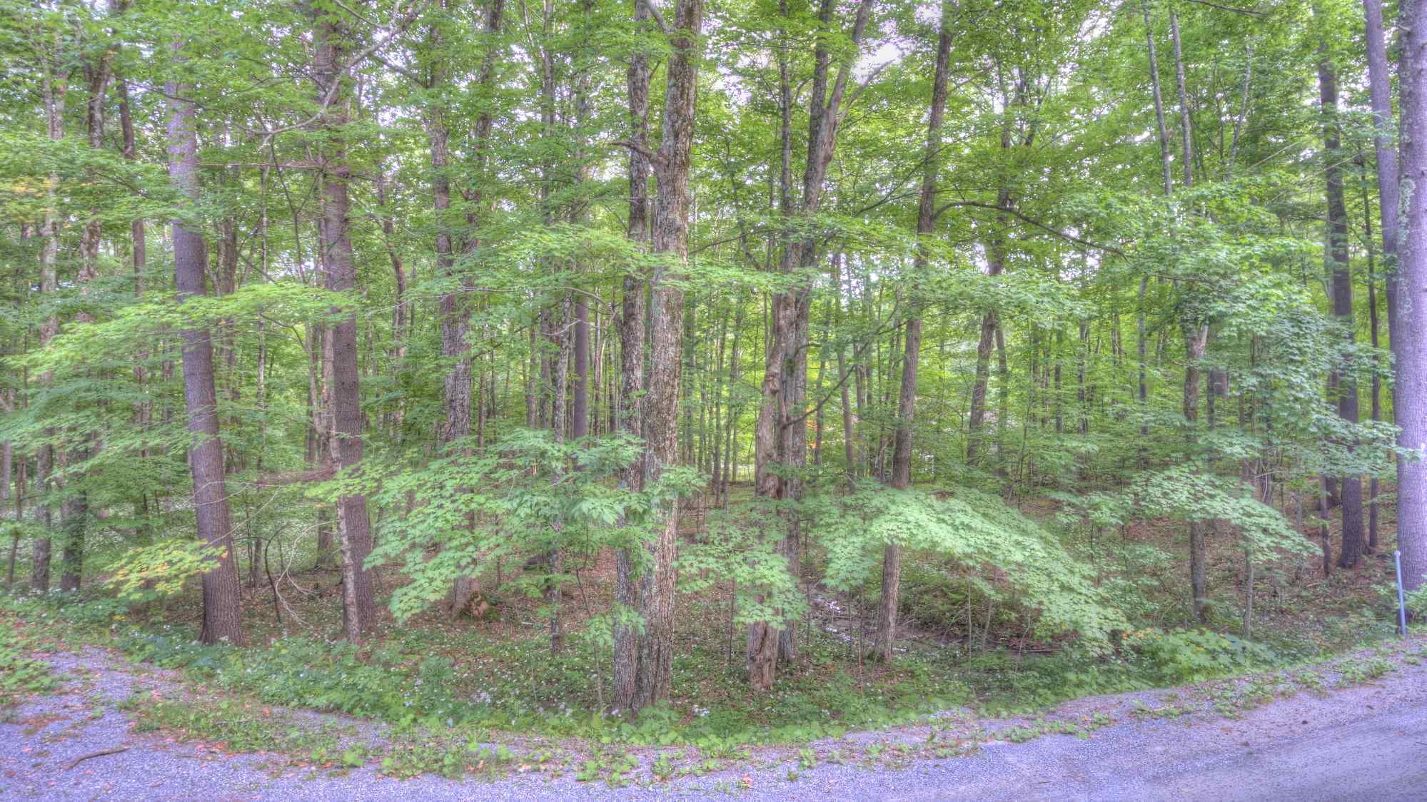 545 Powder-Horn Road Manchester, VT 05255 - Photo 7 of 11 Gallery Image 7
