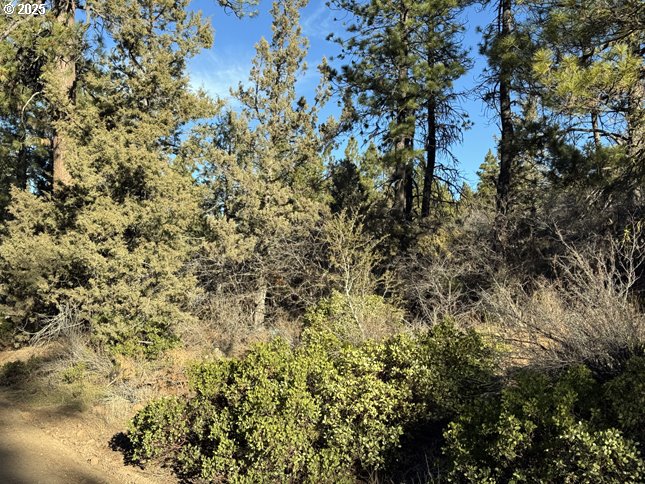 Hummingbird Drive, Unit 13 Bonanza, OR 97623 - Photo 5 of 17