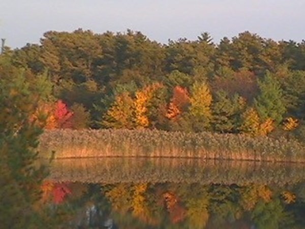 222 Blackmore Pond Road Wareham, MA 02576 - Photo 16 of 23 Gallery Image 16