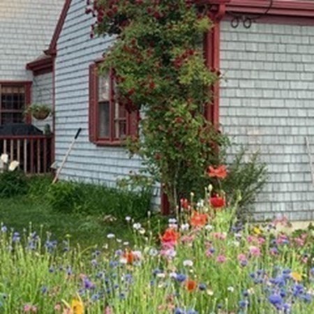 222 Blackmore Pond Road Wareham, MA 02576 - Photo 17 of 23 Gallery Image 17