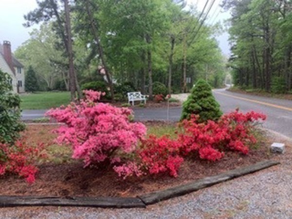 222 Blackmore Pond Road Wareham, MA 02576 - Photo 19 of 23 Gallery Image 19