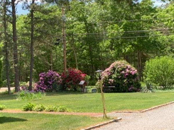 222 Blackmore Pond Road Wareham, MA 02576 - Photo 23 of 23 Gallery Image 23