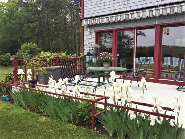 222 Blackmore Pond Road Wareham, MA 02576 - Photo 7 of 23 Gallery Image 7