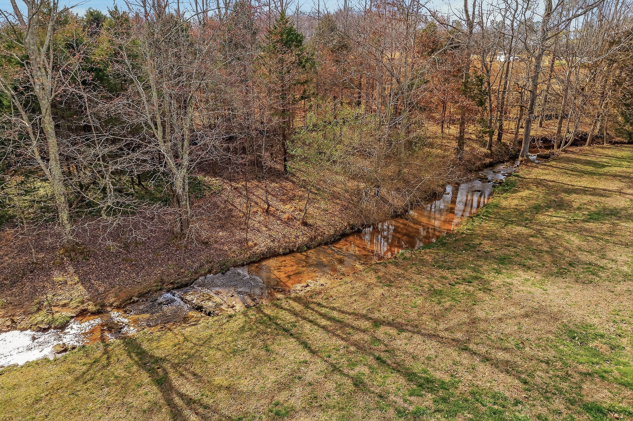 1603 Coon Hunt Road Baxter, TN 38544 - Photo 38 of 51 a view of a yard with trees