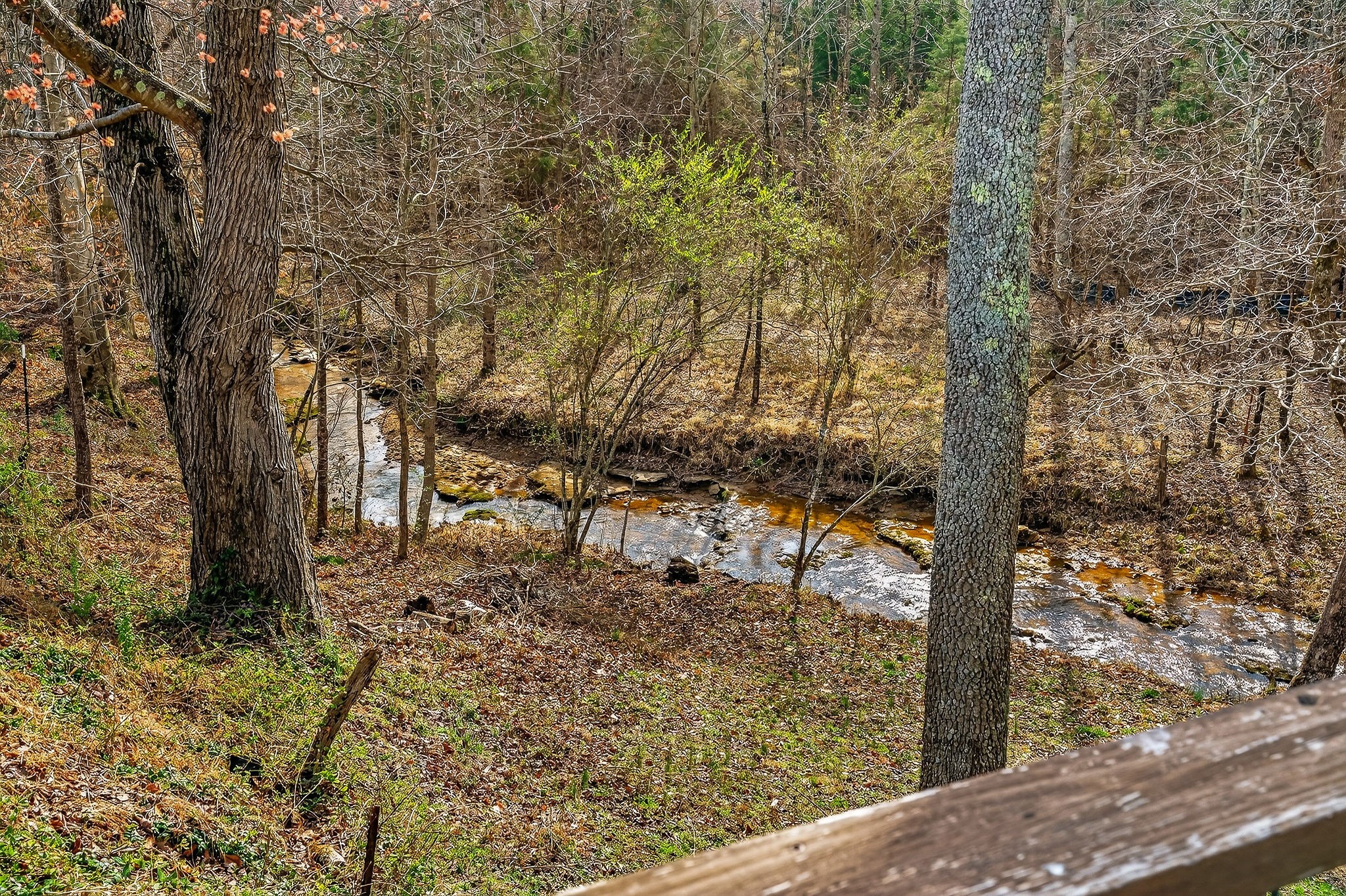 1603 Coon Hunt Road Baxter, TN 38544 - Photo 41 of 51 a backyard of a house with lots of trees