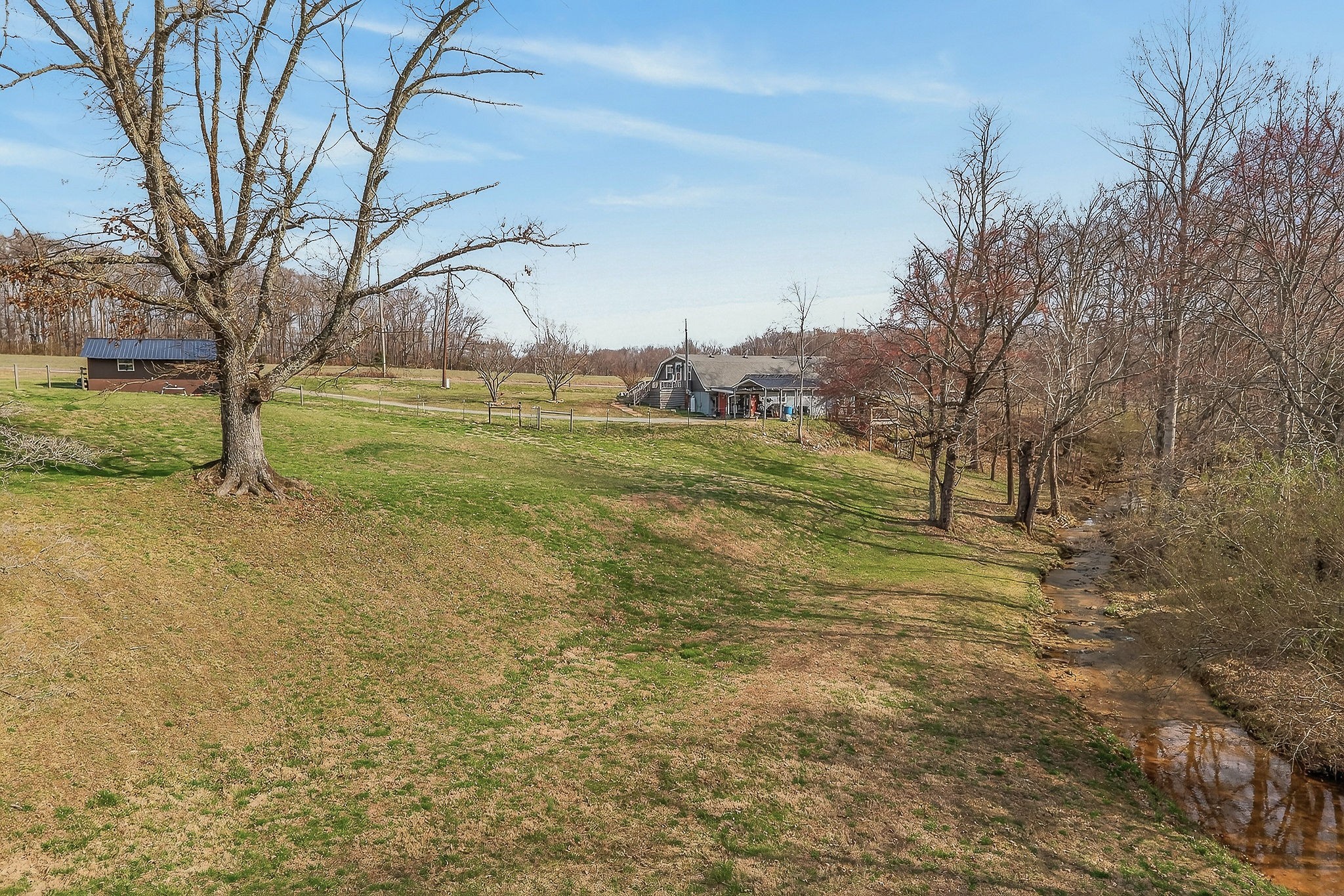 1603 Coon Hunt Road Baxter, TN 38544 - Photo 42 of 51 a view of a field with large trees