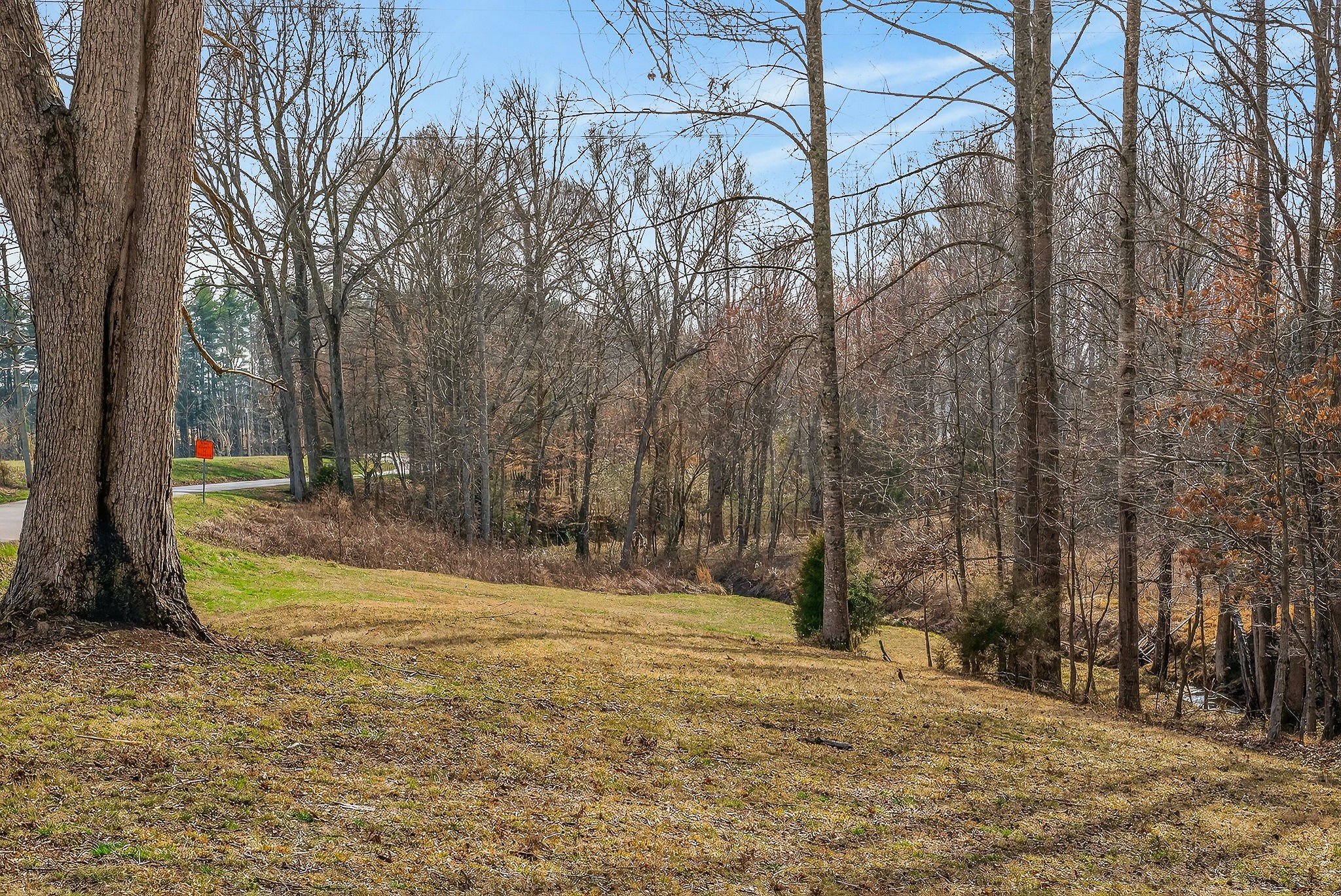 1603 Coon Hunt Road Baxter, TN 38544 - Photo 44 of 51 a view of yard with tree