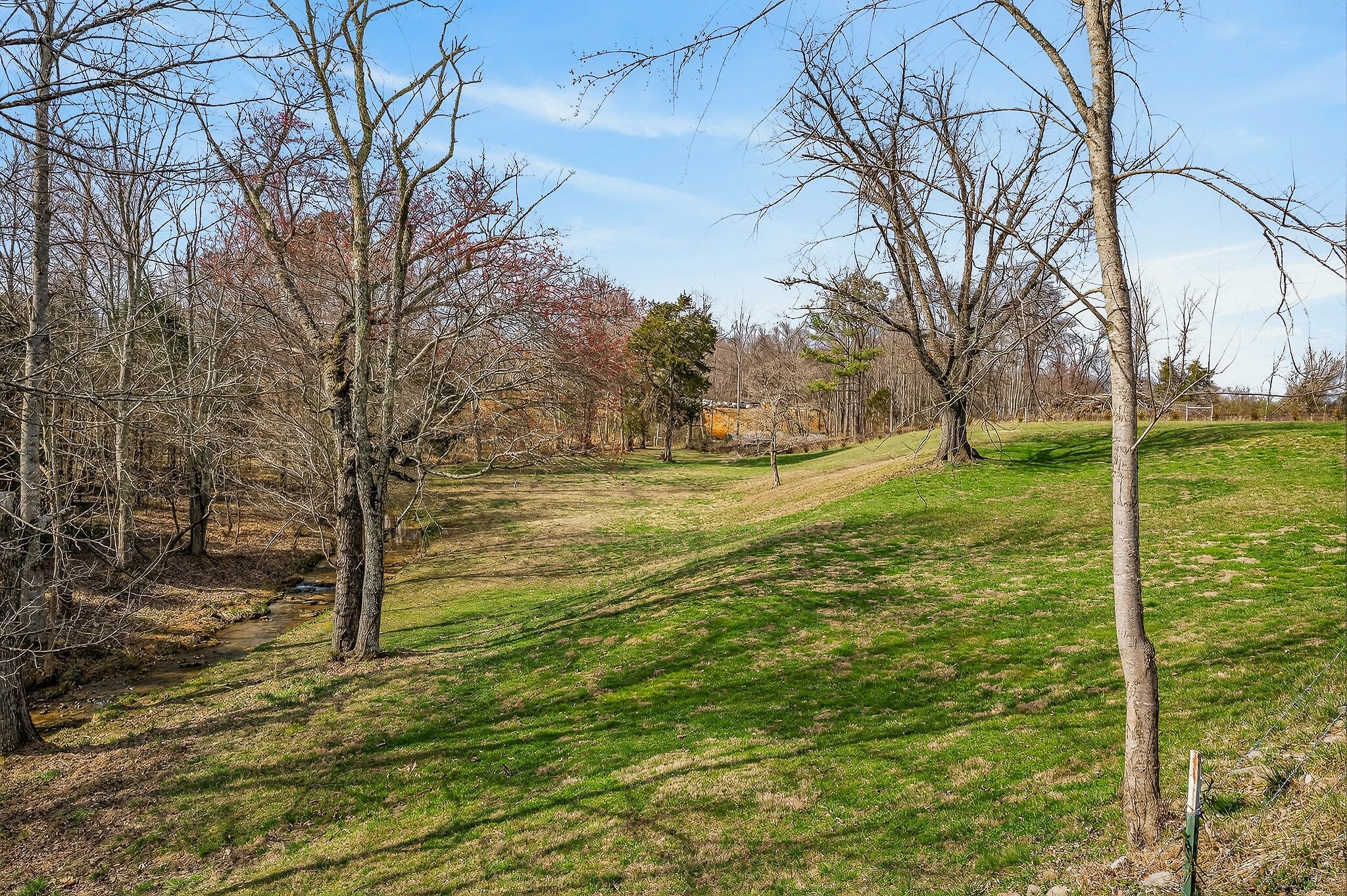 1603 Coon Hunt Road Baxter, TN 38544 - Photo 49 of 51 a yard with tall trees