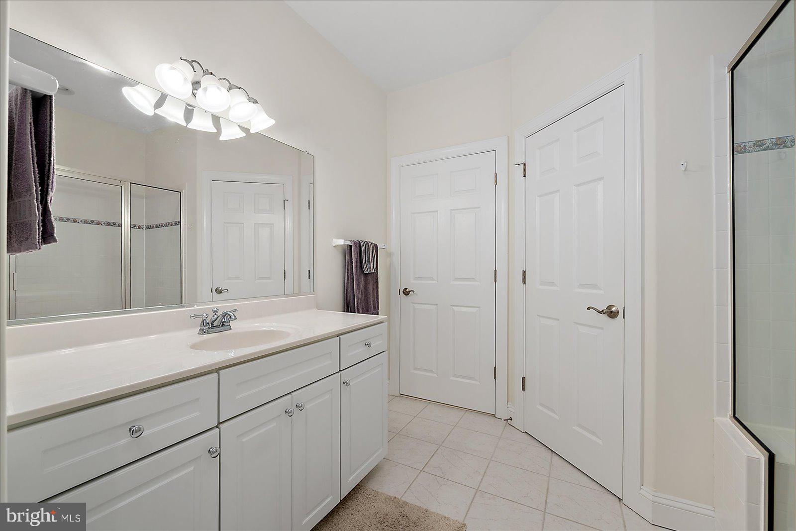 110 Waterview Lane Dagsboro, DE 19939 - Photo 40 of 100 Master Bathroom