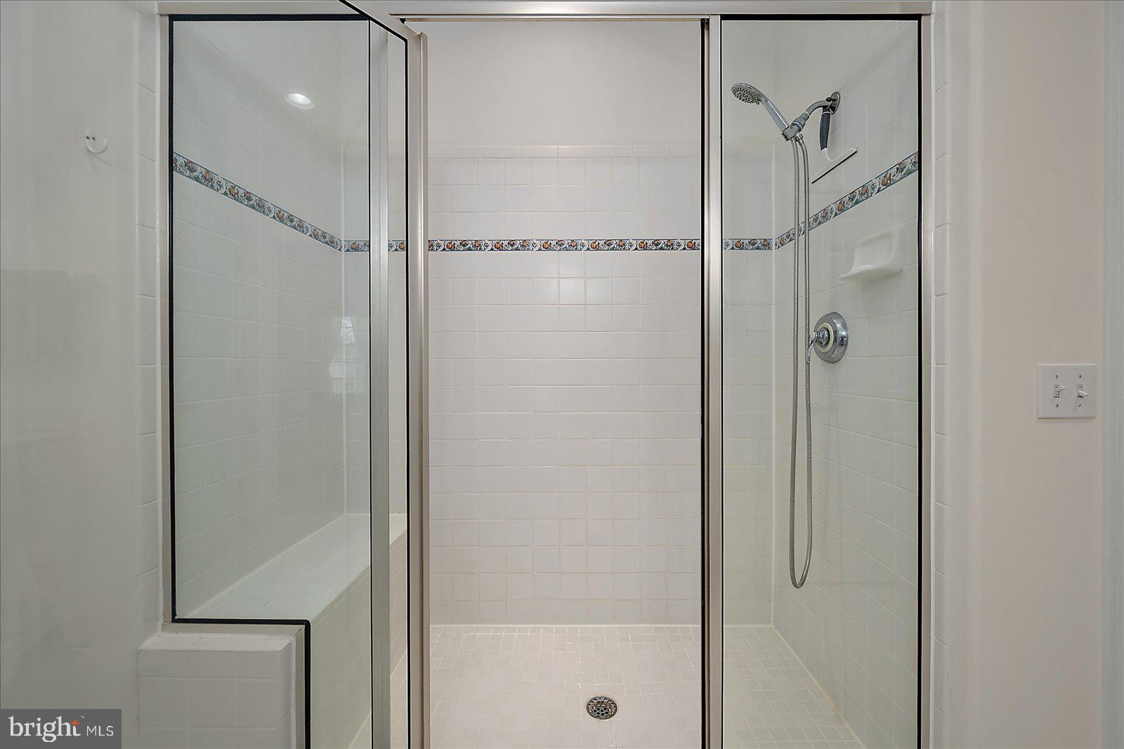 110 Waterview Lane Dagsboro, DE 19939 - Photo 41 of 100 Shower in Master