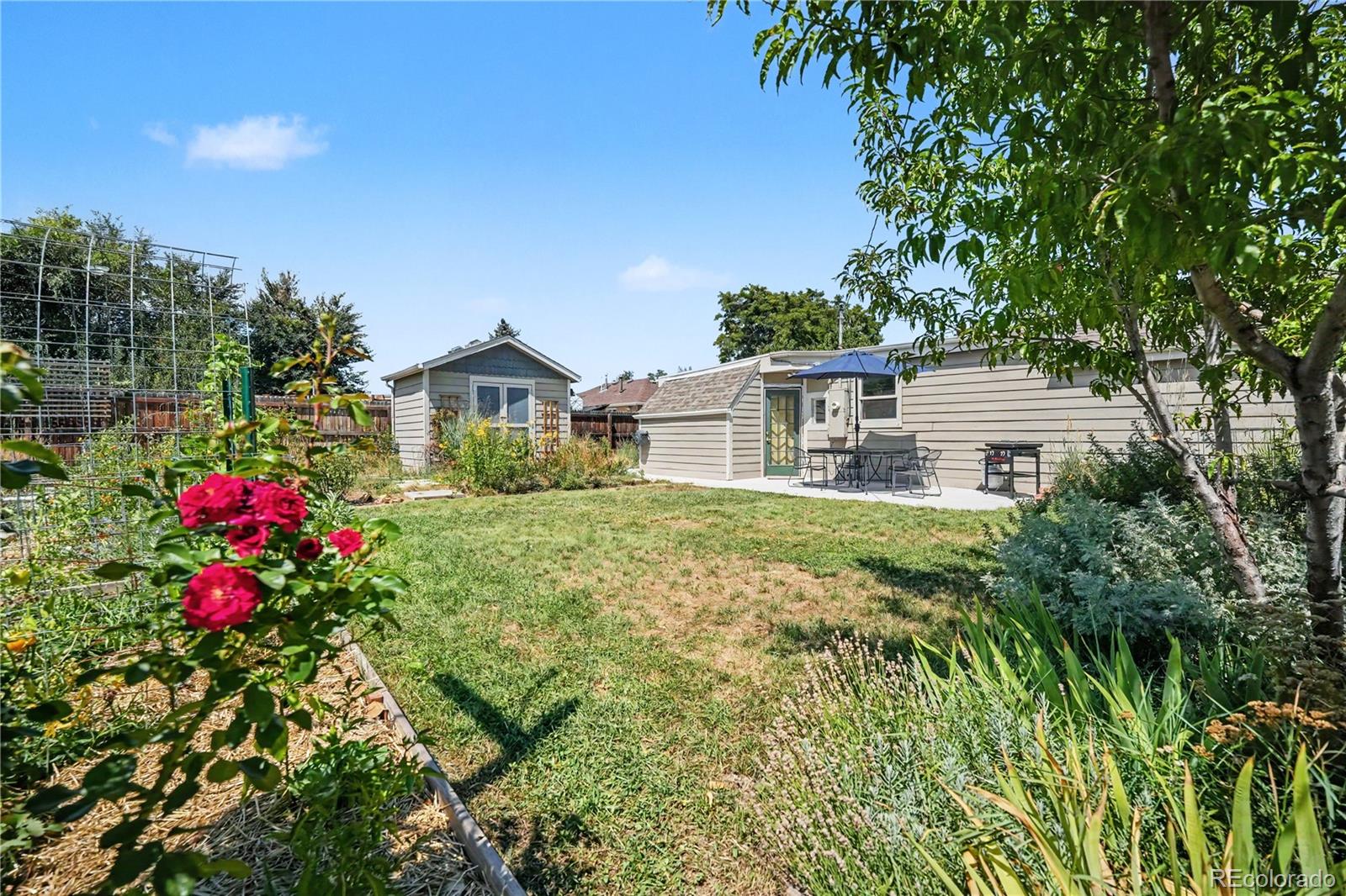 6400 West 45th Place Wheat Ridge, CO 80033 - Photo 20 of 29 Gallery Image 20
