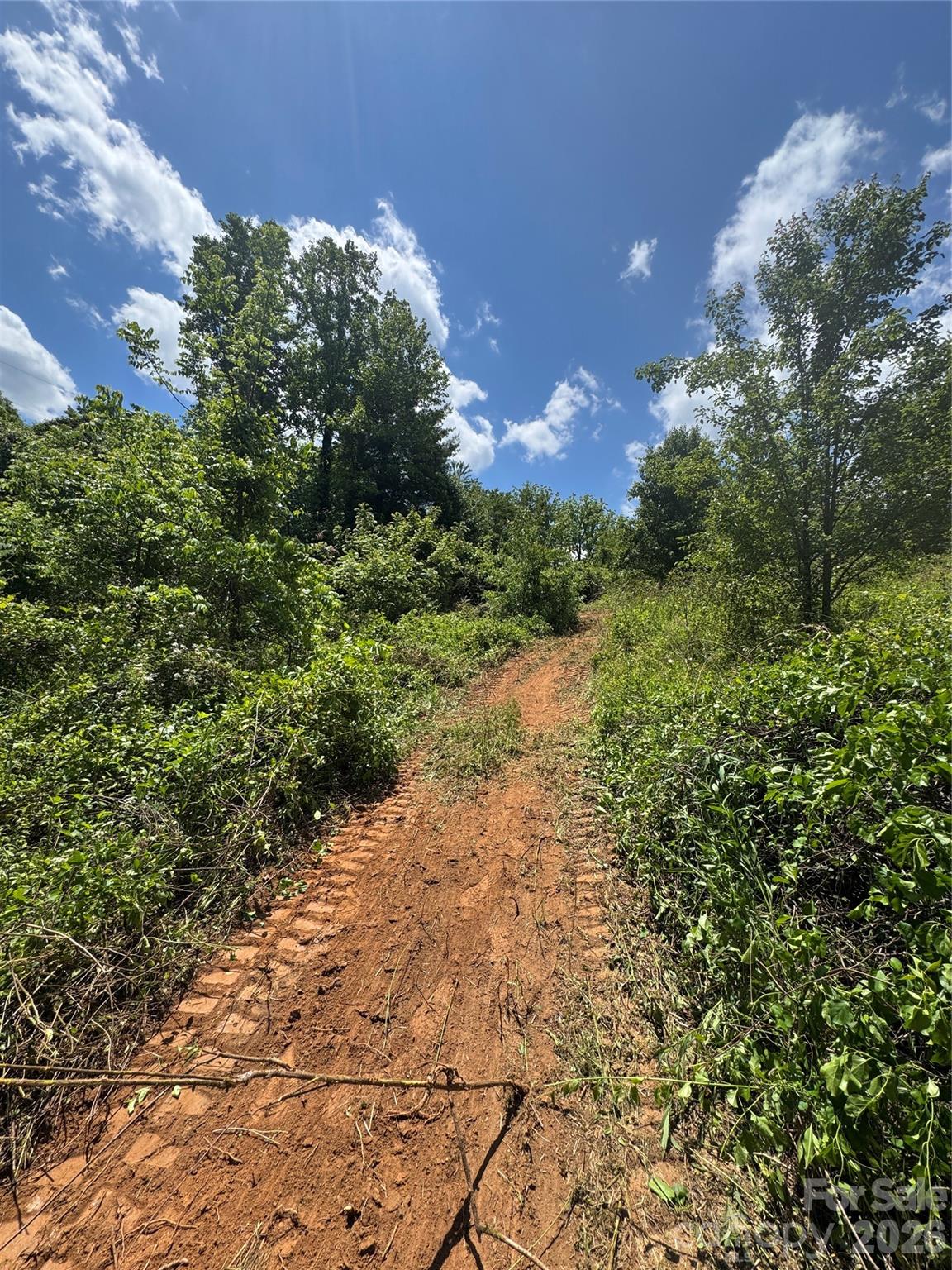 Tbd Duckett Road Candler, NC 28715 - Photo 16 of 17