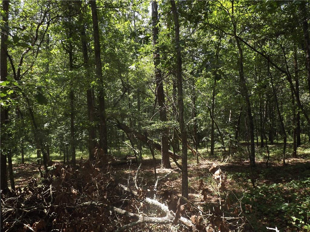 0 George Road Southwest Cave Spring, GA 30124 - Photo 19 of 22