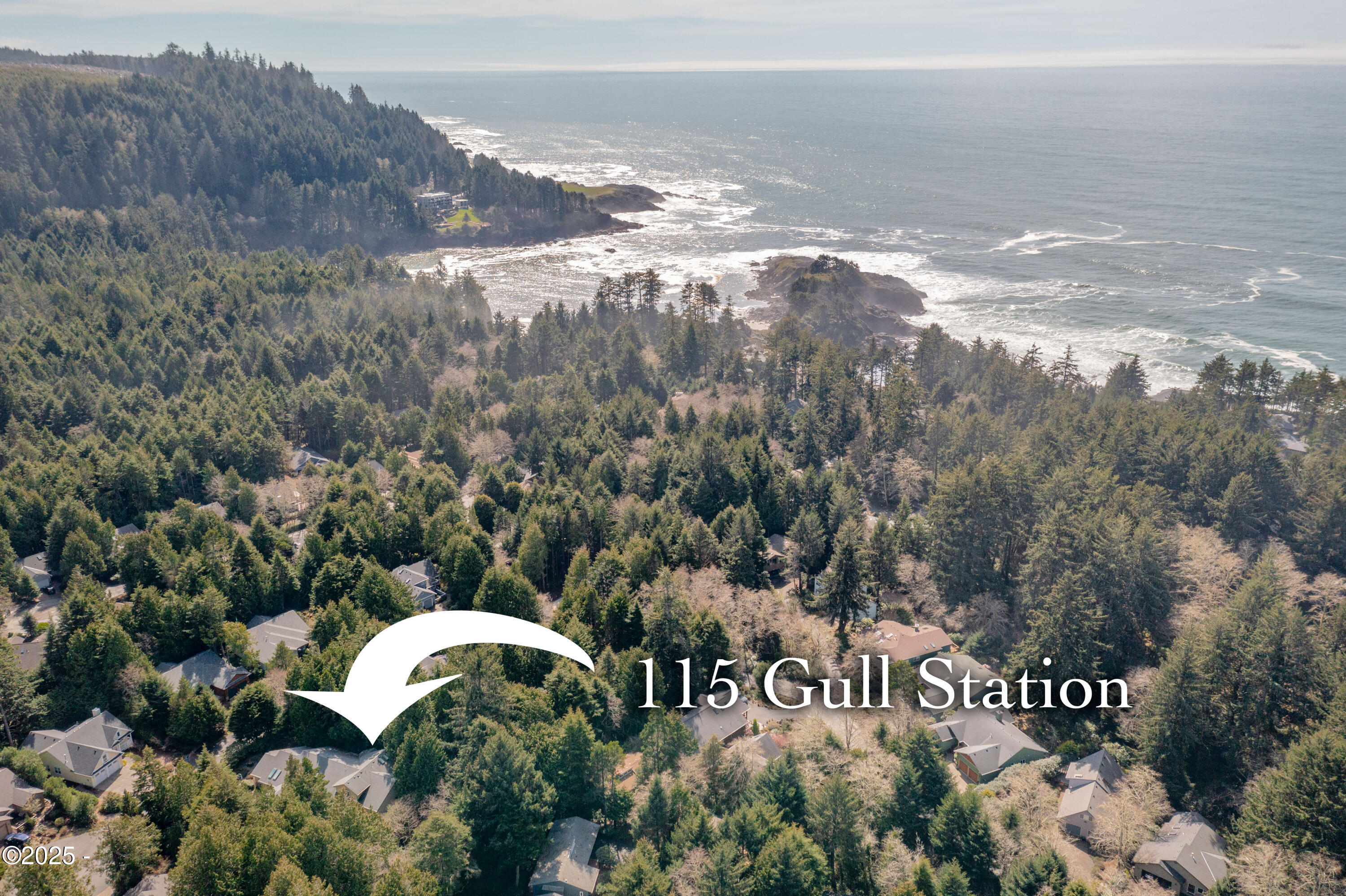115 Gull Station Depoe Bay, OR 97341 - Photo 4 of 68 Aerial