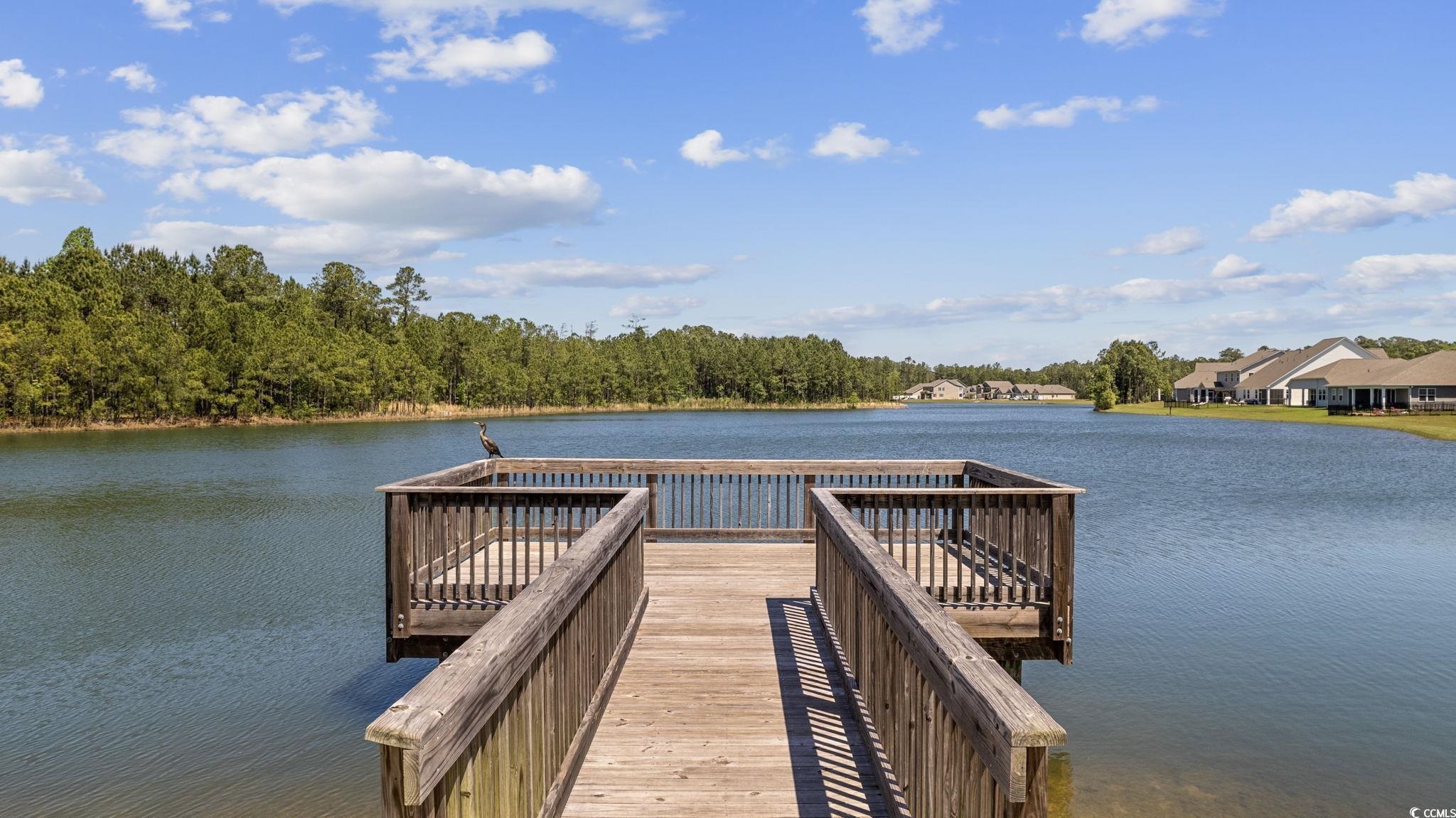 183 Juniata Loop Little River, SC 29566 - Photo 2 of 47 Gallery Image 2
